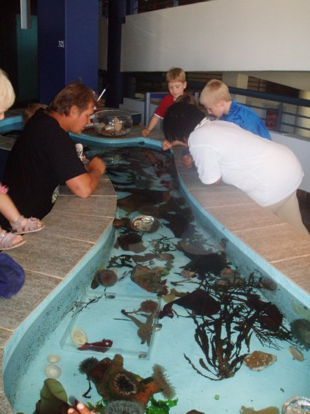 KeHa_in_South_Africa - 072